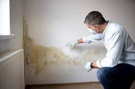 Best Commercial Mold Inspection  in Eastwood, LA